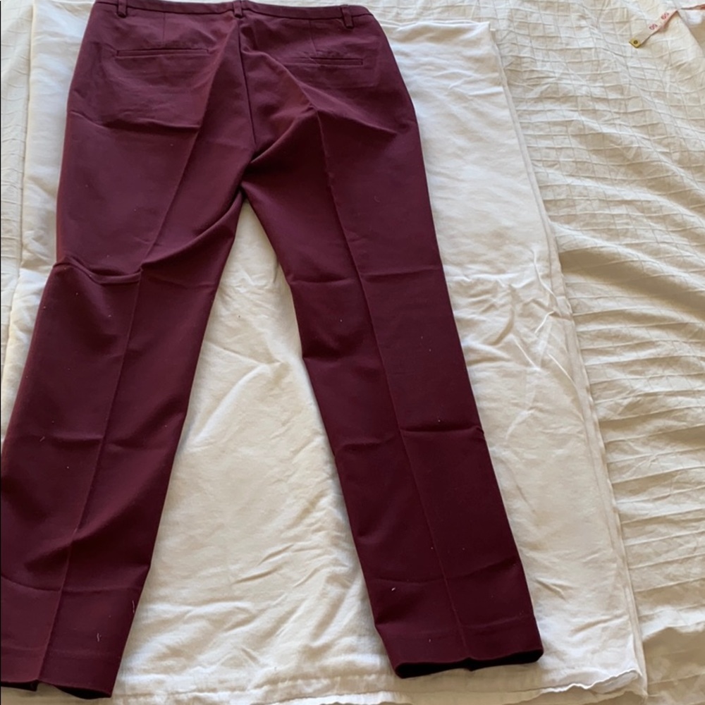 Zara Basic Pants - image 6